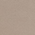Sueded Astrakan - Image 5