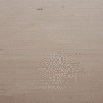 Seta - Image 11