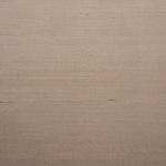 Seta - Image 10