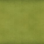 8004-OASIS