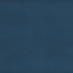 8015-LEGION BLUE