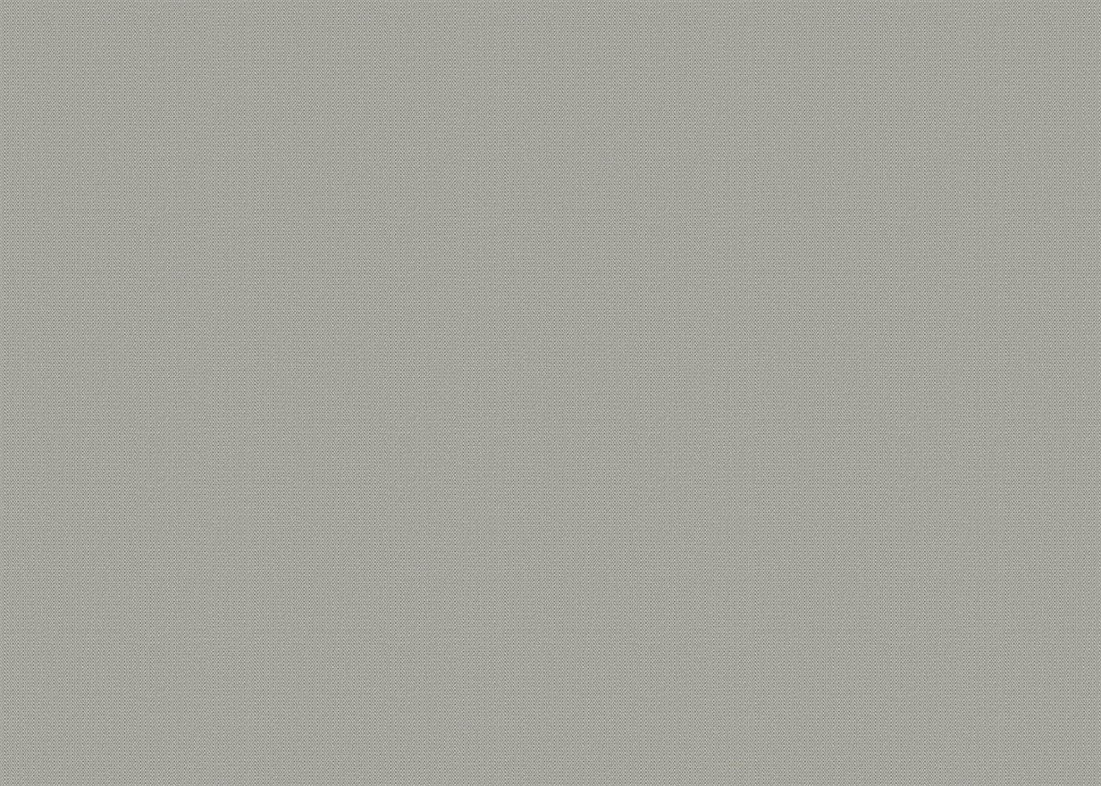 Rhine-Grey RHINE-GREY - Image 1