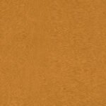 Rasch Plains