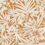 Rasch Modern