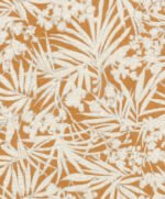 Rasch Modern