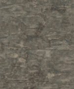 Rasch Modern - Image 7