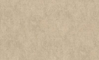 Rasch Texture - Image 2