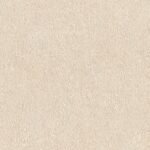Rasch Texture