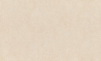 Rasch Texture