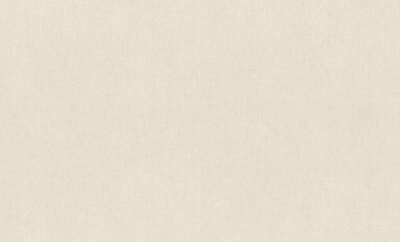 Rasch Texture - Image 7