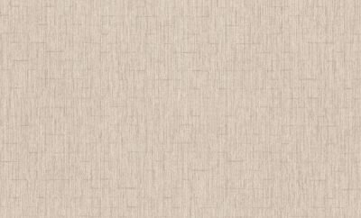 Rasch Modern