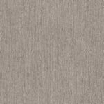 Rasch Texture 1