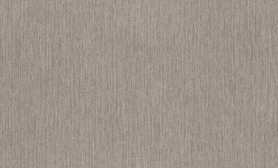Rasch Texture 1