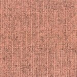 CANVAS 220 MELON