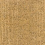 CANVAS 225 AMBER