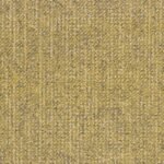 CANVAS 230 LIME