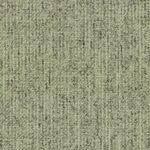 CANVAS 625 SAGE