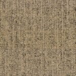 CANVAS 815 OLIVE