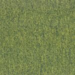 TRADITION 620 GRASS