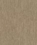 Rasch Modern - Image 5