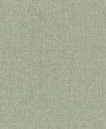 Rasch Texture - Image 4
