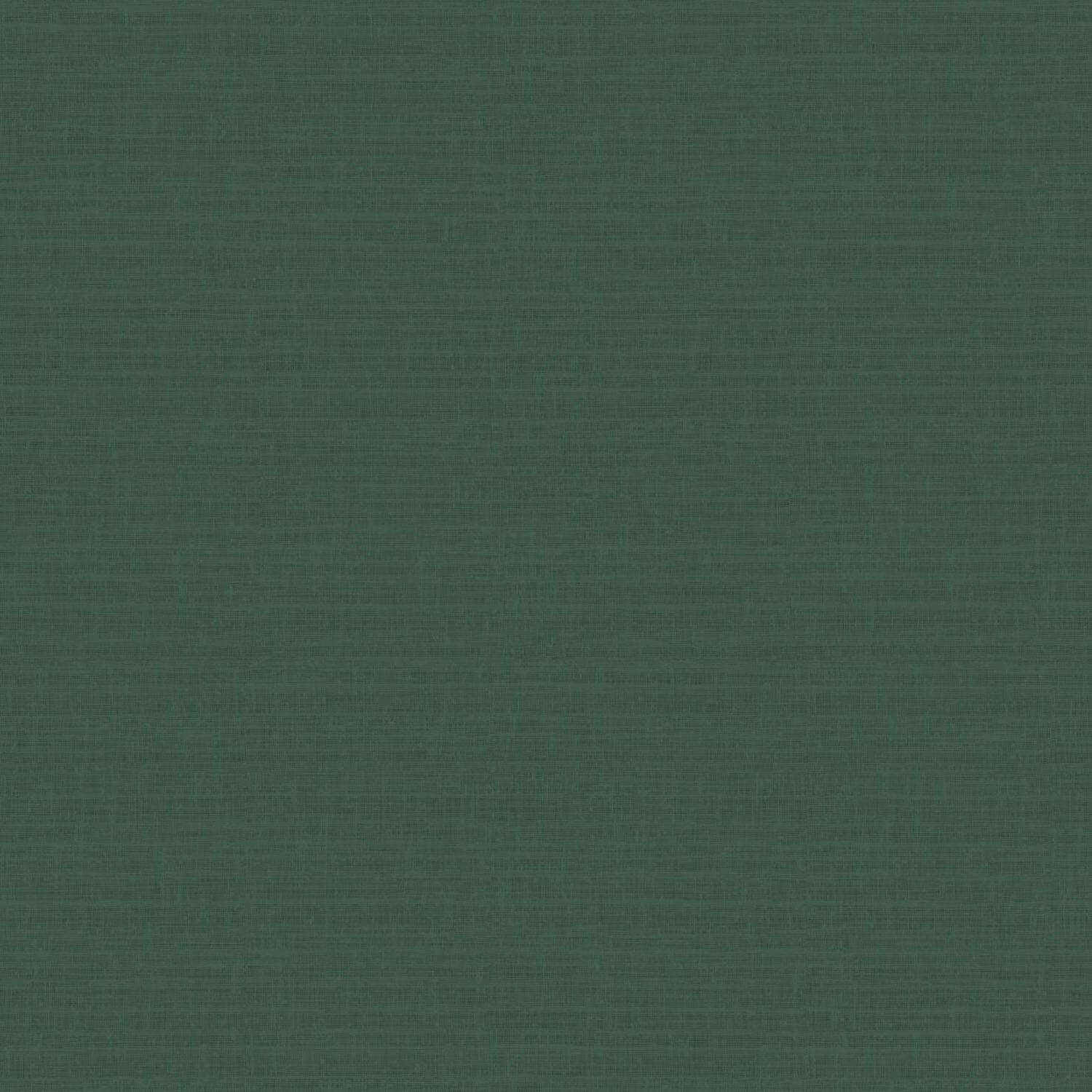 51233124 Abaca Plain - Image 1