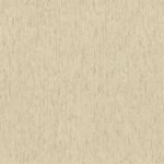 Rasch Texture