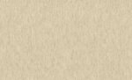 Rasch Texture