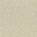 Rasch Modern