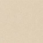 Rasch Texture 1