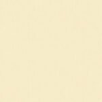 Rasch Texture 1 - Image 2