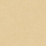 Rasch Texture 1