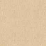 Rasch Texture - Image 2