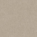 Rasch Texture 2