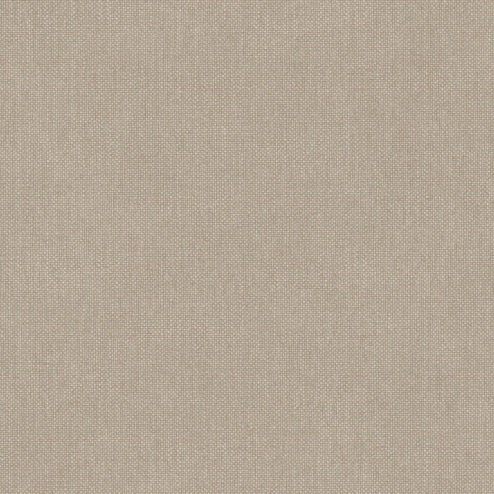 CASELIO_104992000.1 Rasch Texture 2 - Image 1