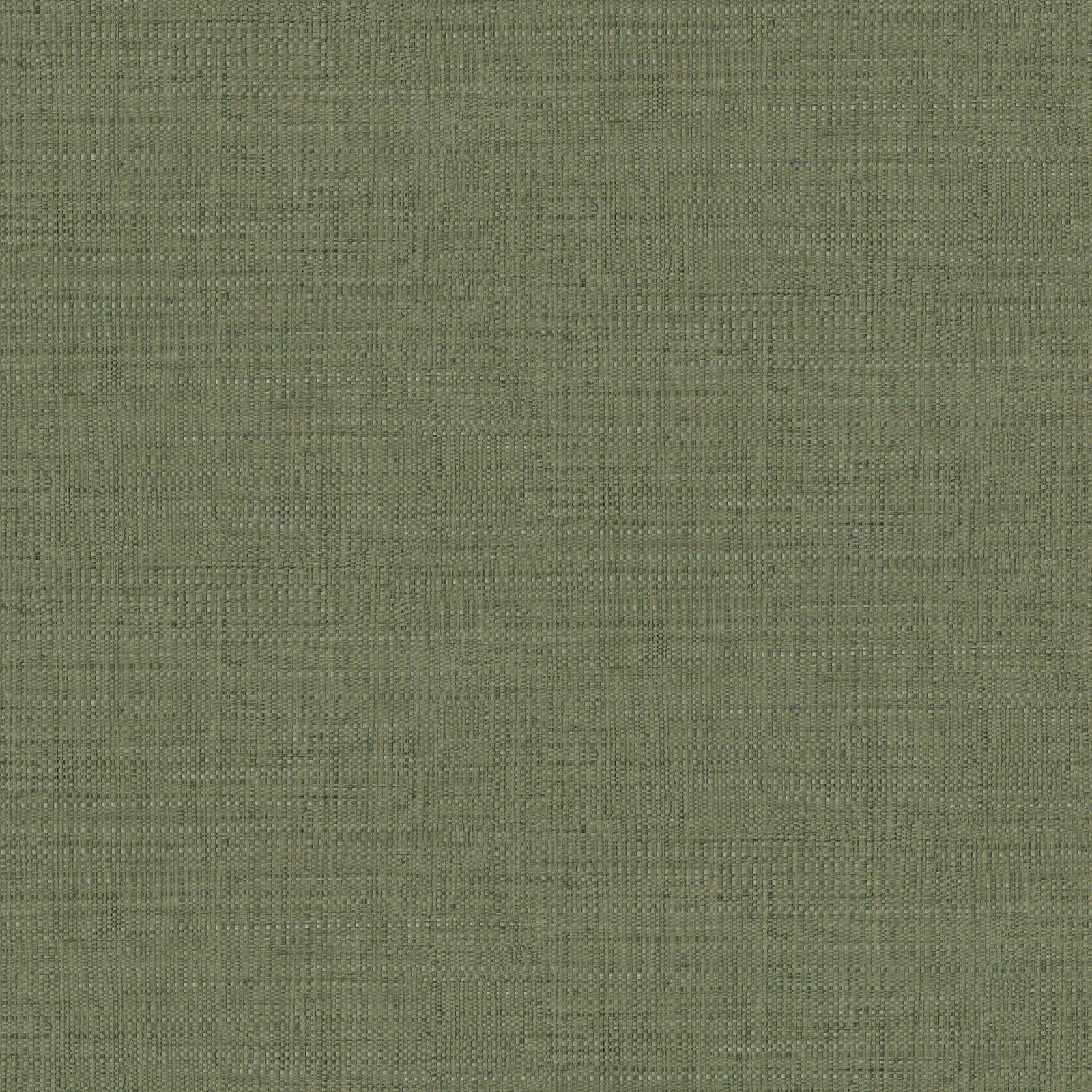 CASELIO_105977206.1 Caselio Texture 1 - Image 1